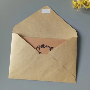 Custom Size Brown Kraft Paper Envelopes